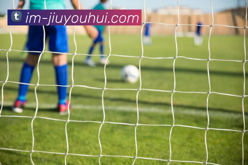 App Interface Preview